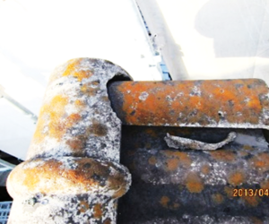 住宅の外部環境と小屋裏・内部環境を考える その　　㉗　『　地衣類・屋根上　Ⅵ　』