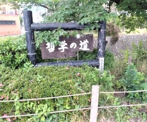 哲学の道