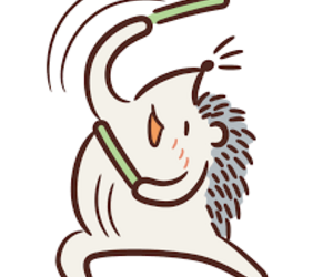 特徴