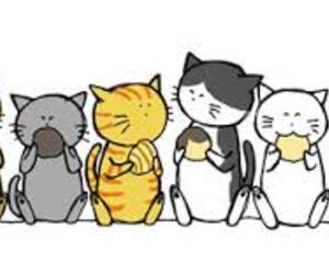 猫の町