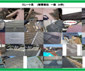 建物の外部被害に関わる資料　その　45　『　台風21号　⑮　』