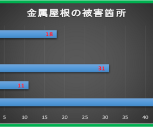 建物の外部被害に関わる資料　その　46　『　台風21号　⑯　』