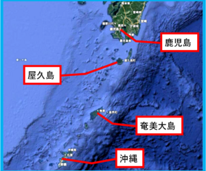 建物の外部被害に関わる資料　その　52　『　台風21号　㉓　』