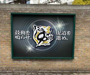 オープン戦