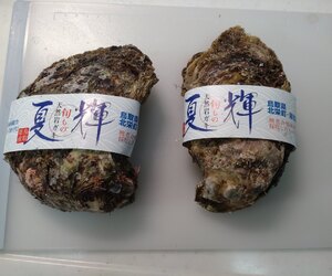 夏の味覚。