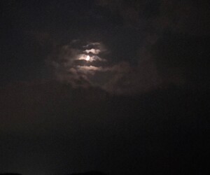 懲りずに資源調査へ