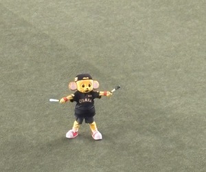 8/8(金)　ｖｓヤクルト