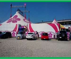 番外編　堺の美味いもんと『さくらｻｰｶｽ　①』(さくらｻｰｶｽ編　Ⓐ)