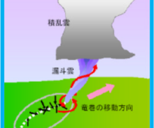 建物の外部被害に関わる資料　その　75　　『台風10号④と竜巻⑯　』