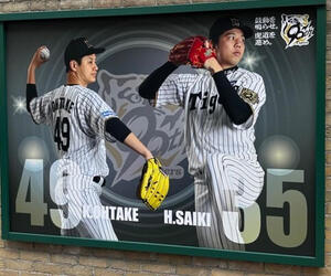 甲子園年間指定席の抽選申込にエントリーしました！