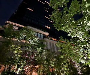豪華ディナーに溺れた帰り道