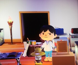 あつまれ どうぶつの森だなも