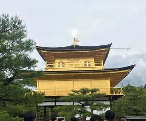 なっ、なんと金閣寺の鳳凰に太陽が！