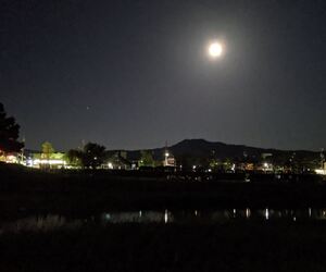 十五夜