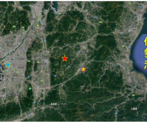住宅の外部環境と小屋裏・内部環境を考える その⑭『地衣類・奈良Ⅱ』