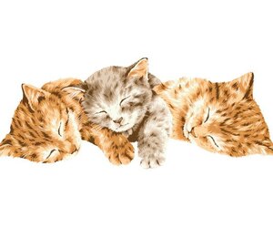 ほっこり