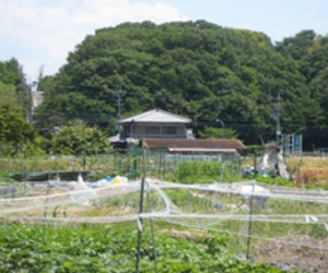 住宅の外部環境と小屋裏・内部環境を考える その⑯　『　地衣類・奈良　Ⅳ　』