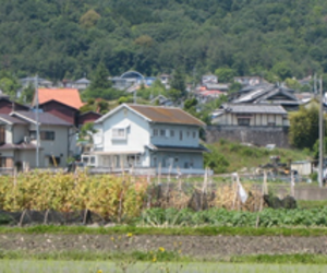 住宅の外部環境と小屋裏・内部環境を考える その⑰　『　地衣類・奈良　Ⅴ　』
