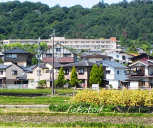 住宅の外部環境と小屋裏・内部環境を考える その⑱　『　地衣類・奈良　Ⅵ　』