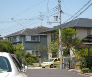 住宅の外部環境と小屋裏・内部環境を考える その　　㉑　『　地衣類・奈良　Ⅸ　』　